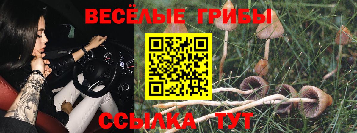 Псилоцибиновые грибы мицелий  Псилоцибиновые грибы мицелий  Вход с VPN  Алатырь 