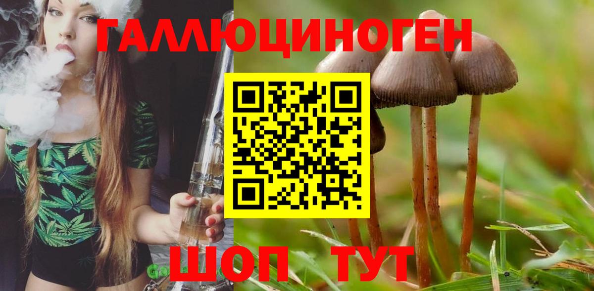 Галлюциногенные грибы GOLDEN TEACHER Алатырь